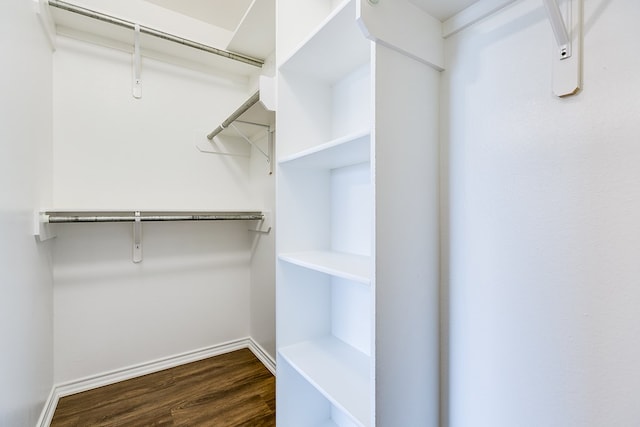 spacious closet featuring dark wood-type flooring