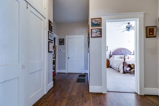 hall featuring dark wood-type flooring