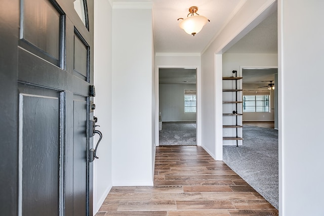 foyer with ornamental molding and wood-type flooring