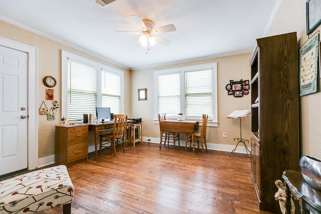 office featuring crown molding, ceiling fan, and wood-type flooring