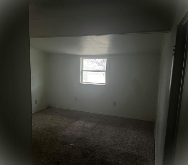 empty room featuring carpet