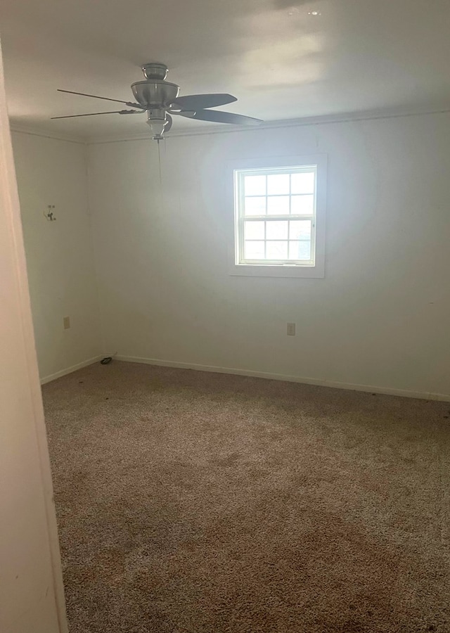 empty room with ceiling fan, ornamental molding, and carpet