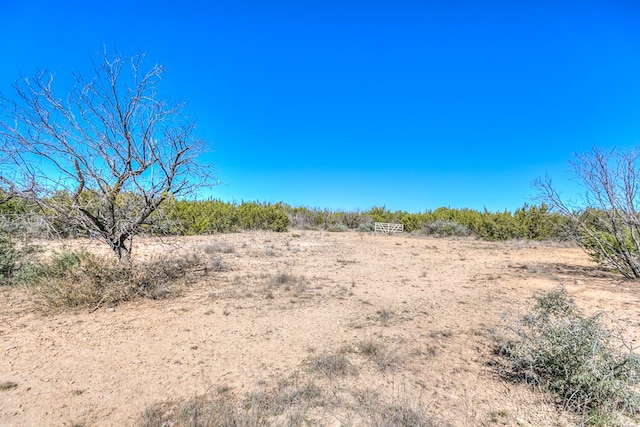 view of local wilderness featuring a rural view