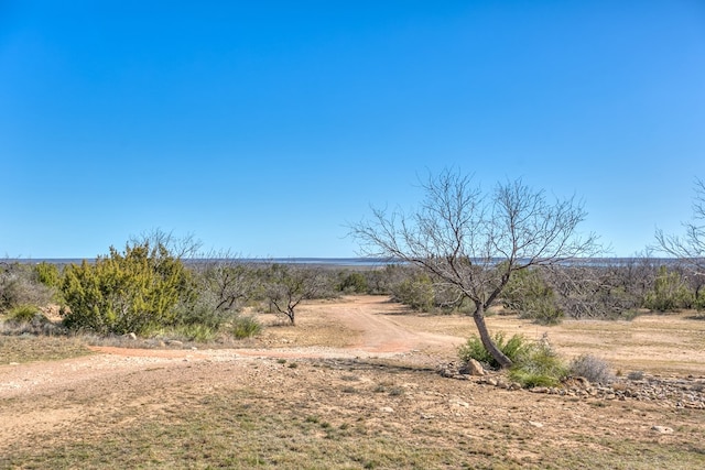 view of yard with a rural view