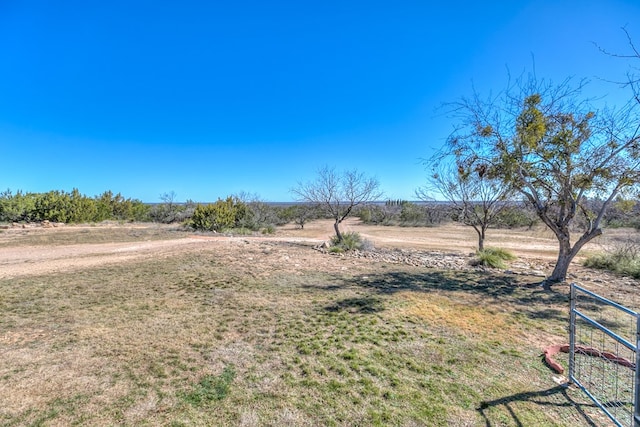 view of yard with a rural view