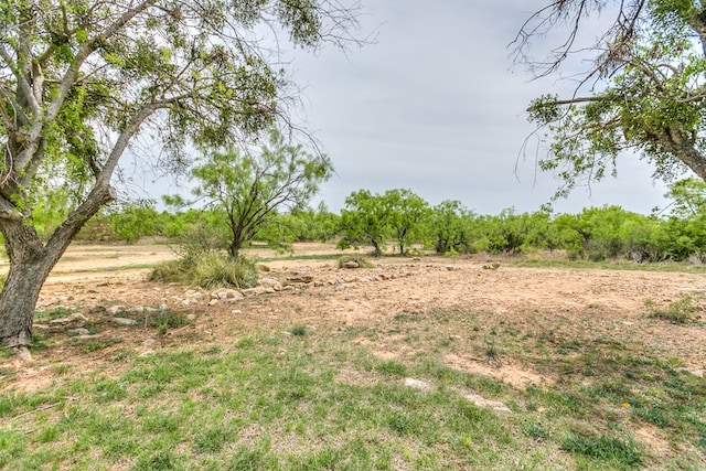 view of local wilderness
