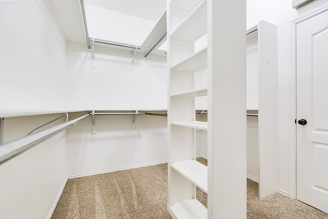 spacious closet with carpet floors