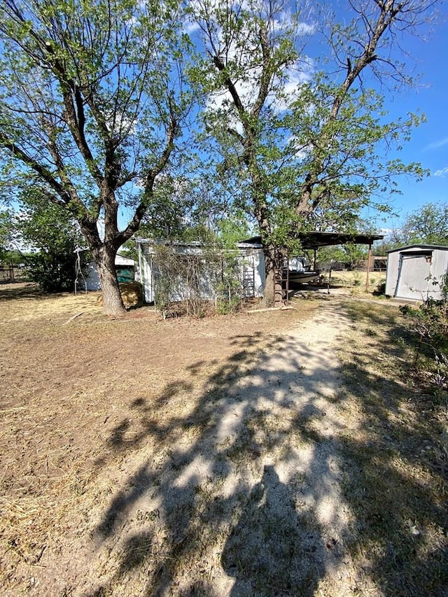 view of yard featuring a storage shed