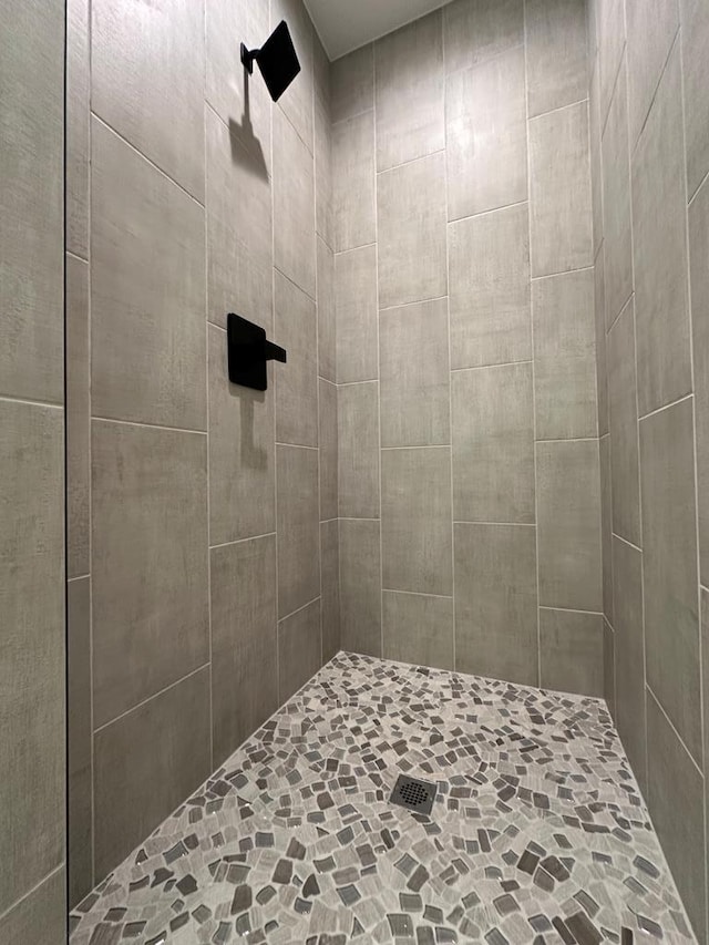 3615 Clearview Dr, San Angelo, TX 76904 - full bath with a tile shower