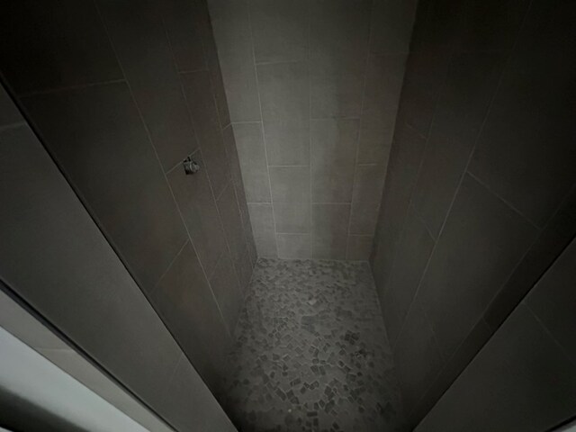 room details featuring tiled shower