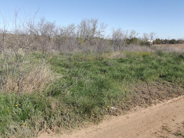 10357 Jerimiah Ln, San Angelo, TX 76901 - photo 44