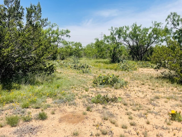 10357 Jerimiah Ln, San Angelo, TX 76901 - photo 40