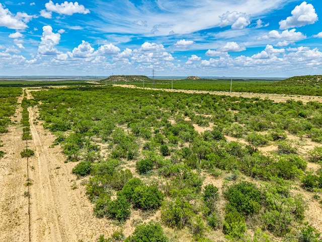 10357 Jerimiah Ln, San Angelo, TX 76901 - photo 67