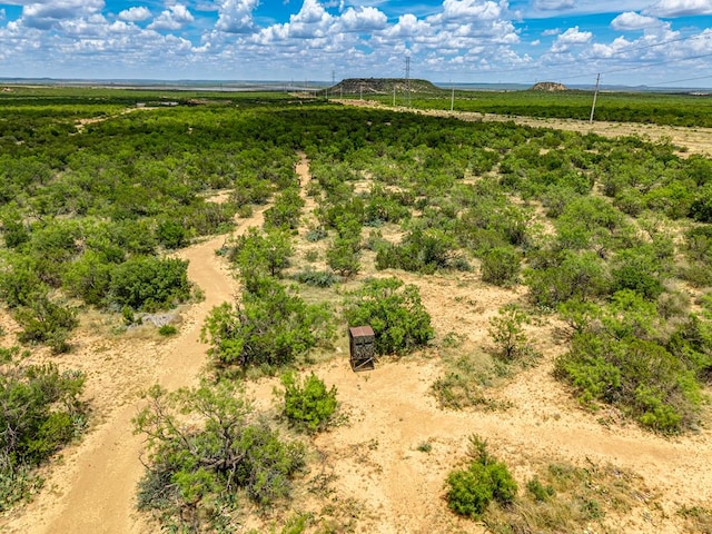 10357 Jerimiah Ln, San Angelo, TX 76901 - photo 63