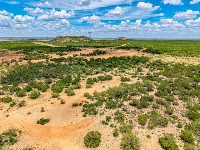 10357 Jerimiah Ln, San Angelo, TX 76901 - photo 69