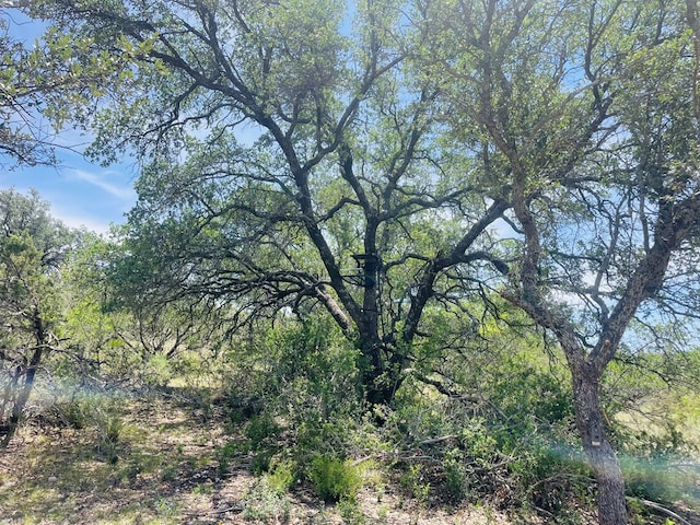 10357 Jerimiah Ln, San Angelo, TX 76901 - photo 41
