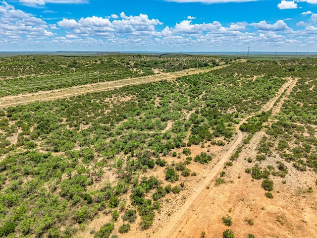 10357 Jerimiah Ln, San Angelo, TX 76901 - photo 71