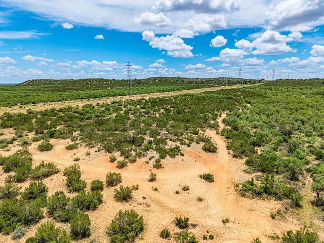 10357 Jerimiah Ln, San Angelo, TX 76901 - photo 66
