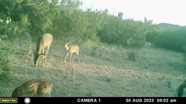 10357 Jerimiah Ln, San Angelo, TX 76901 - photo 7