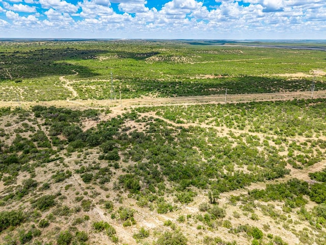 10357 Jerimiah Ln, San Angelo, TX 76901 - photo 60