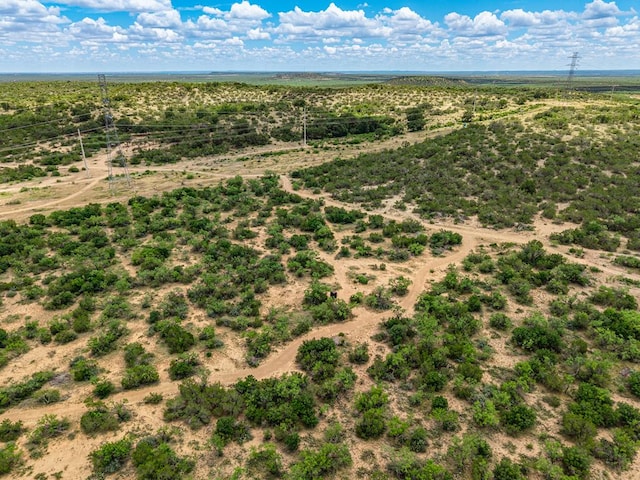 10357 Jerimiah Ln, San Angelo, TX 76901 - photo 65