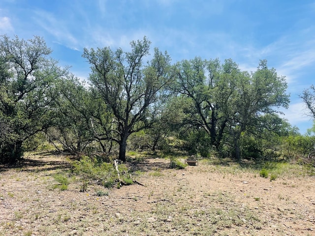 10357 Jerimiah Ln, San Angelo, TX 76901 - photo 55