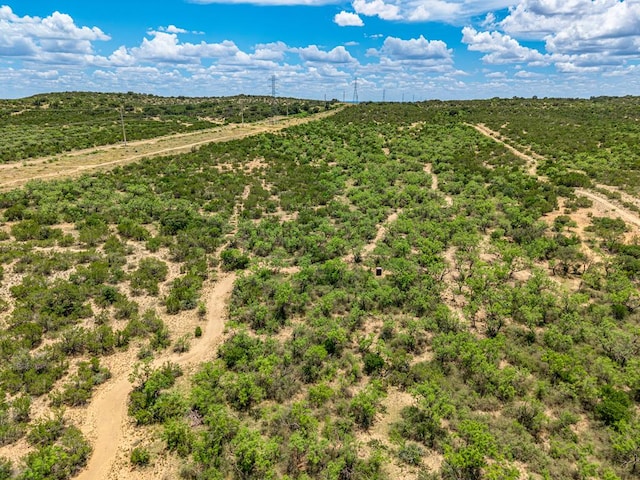 10357 Jerimiah Ln, San Angelo, TX 76901 - photo 70