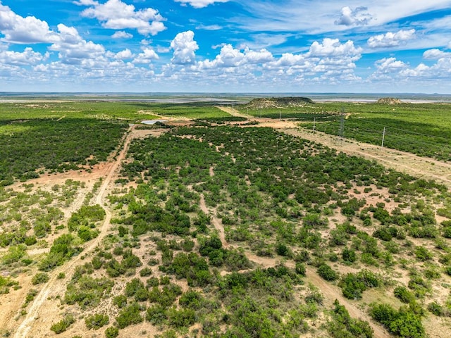 10357 Jerimiah Ln, San Angelo, TX 76901 - photo 64