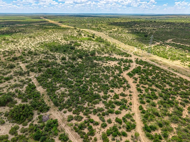 10357 Jerimiah Ln, San Angelo, TX 76901 - photo 61