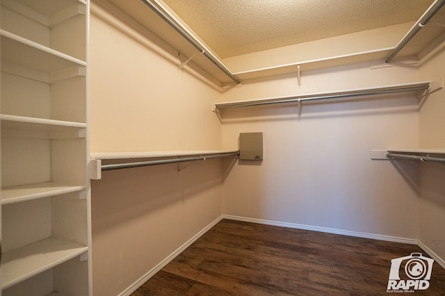 spacious closet with dark hardwood / wood-style floors