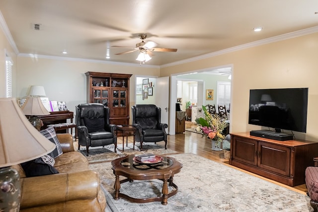 living room featuring ceiling fan, light wood-type flooring, and crown molding