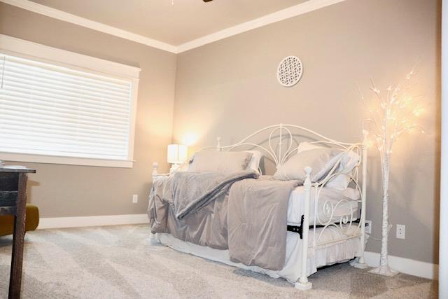 bedroom featuring ornamental molding and carpet floors