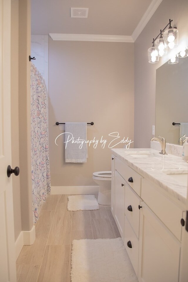 bathroom featuring crown molding, vanity, and toilet