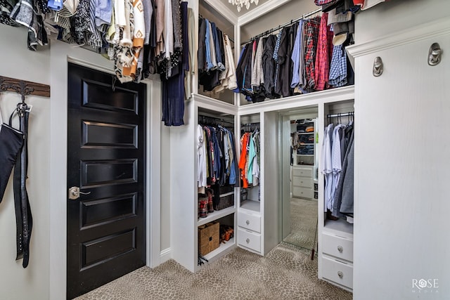 spacious closet featuring carpet floors