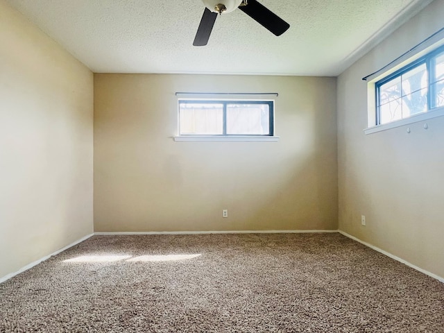 unfurnished room with carpet and a textured ceiling