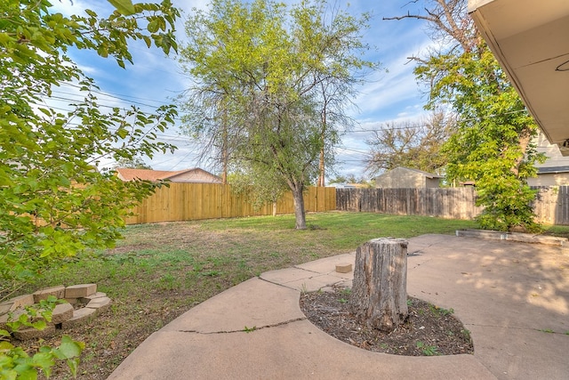 view of yard featuring a patio