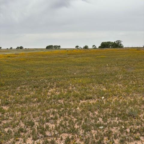 00 Private Rd 3922 0, Miles, TX 76861 - photo 7