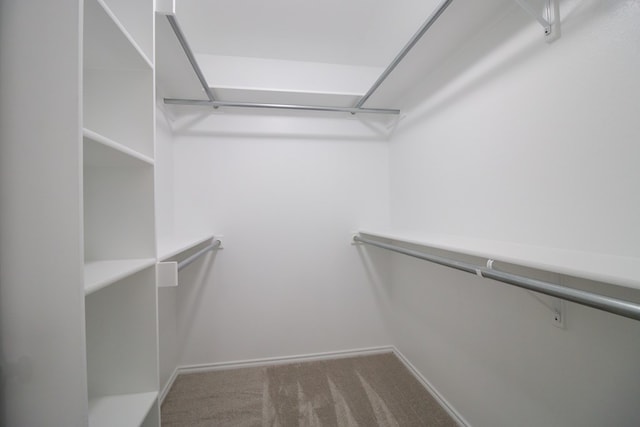 walk in closet with carpet