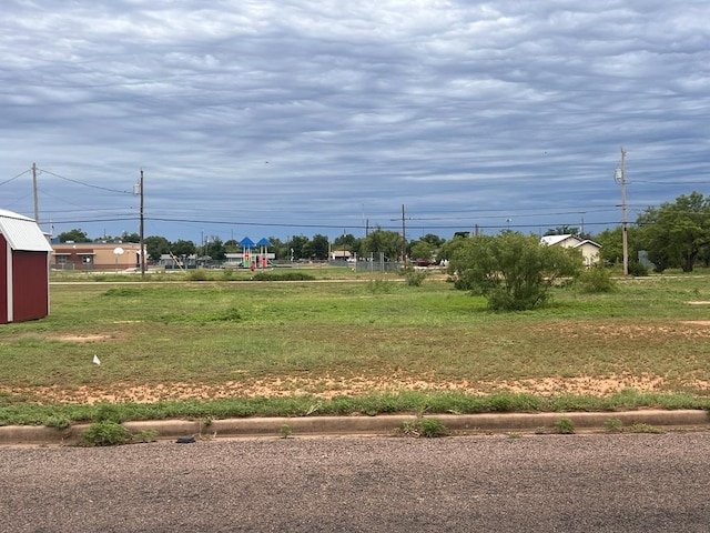 115 E 41st St, San Angelo, TX 76903 - view of yard