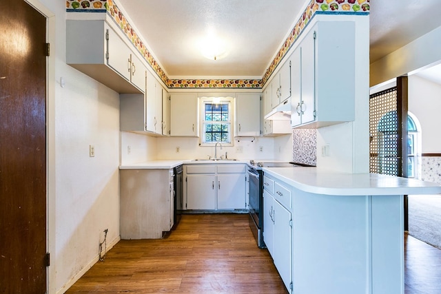 2756 Eunice Dr, San Angelo, TX 76901 - kitchen featuring stainless steel range with electric stovetop, a peninsula, dark wood finished floors, under cabinet range hood, and light countertops