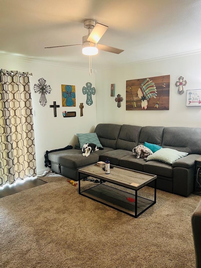 2548 Culver Ave, San Angelo, TX 76904 - photo 4