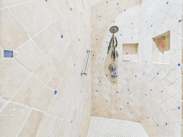 675 Buffalo Ln, San Angelo, TX 76901 - bathroom with tiled shower
