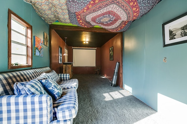 cinema room with carpet flooring