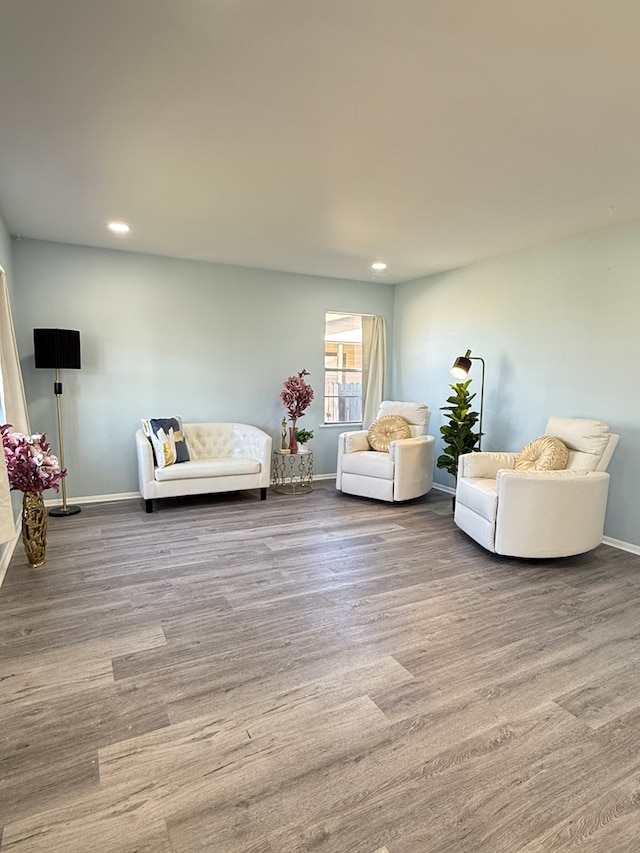 living room with wood-type flooring