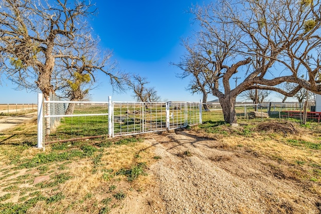 view of yard featuring a rural view