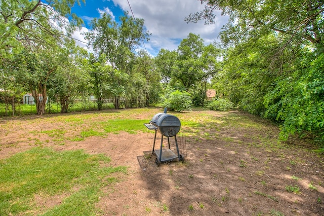 213 Paint Rock Rd, San Angelo, TX 76903 - view of yard