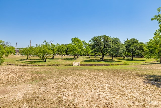 1322 S Monroe St, San Angelo, TX 76901 - surrounding community with a yard