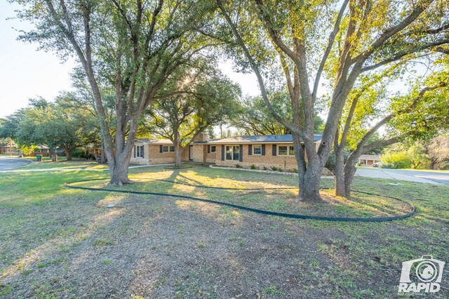 ranch-style house with a front yard