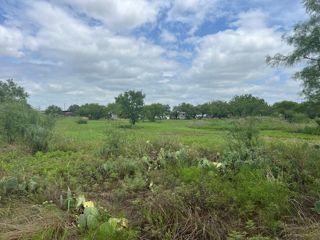 7809 Alma Jo Dr, San Angelo, TX 76905 - photo 67