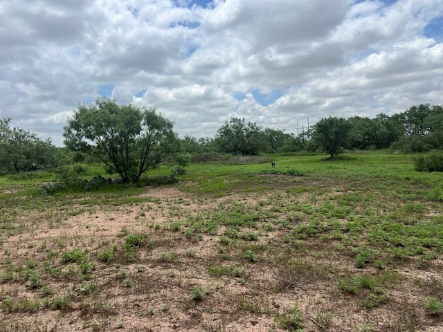 7809 Alma Jo Dr, San Angelo, TX 76905 - photo 64
